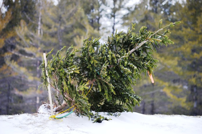 020517_you-had-one-job_fail