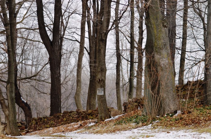 021117_stone-wall_old-tanner-cemetery