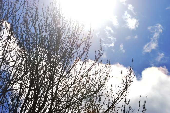 021517_sun-shine-day_bright