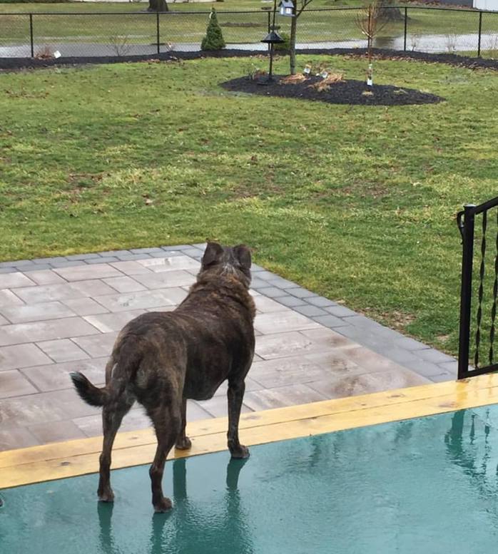 022517_mud-and-wet-but-no-snow_grass