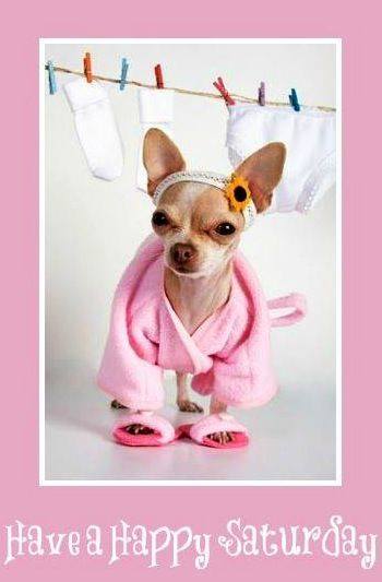 16729477_1051161241654439_8576913040577463691_n