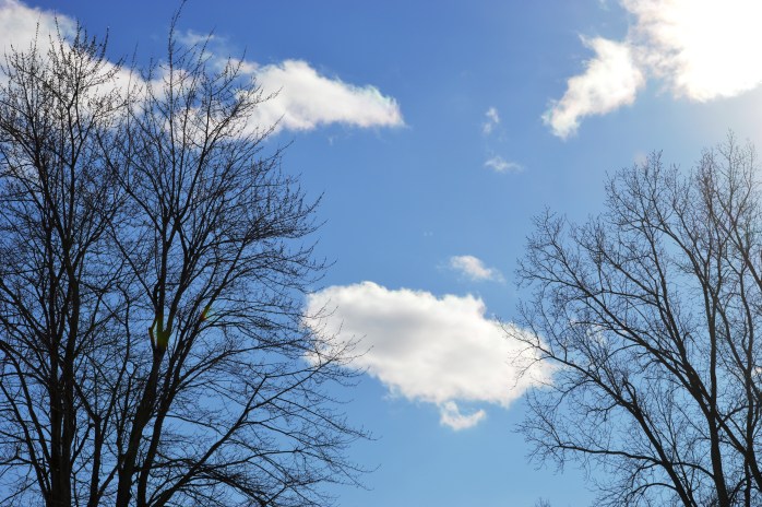 030417_bright-sunshiney-day