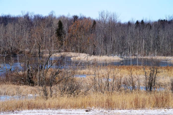 030517_lent-5_wilderness